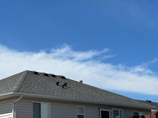 Best Solar Panel Roofing Installation  in Lewiston, CA